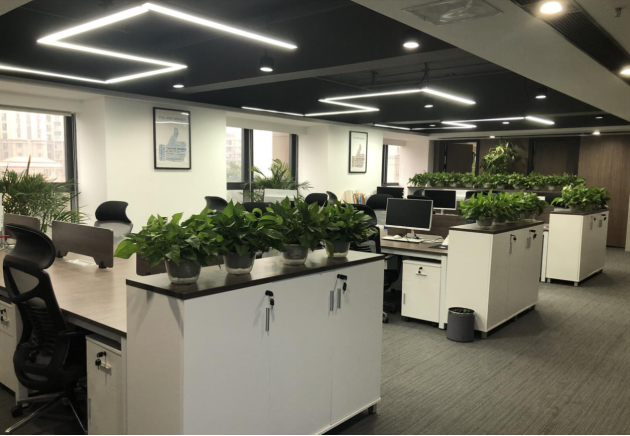 凌枫律师事务所